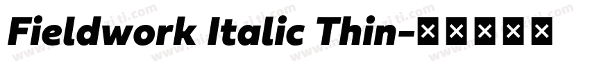 Fieldwork Italic Thin字体转换
